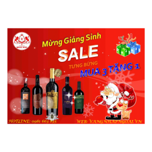 Chương trình ưu đãi đặc biệt chào mừng Giáng Sinh 2022